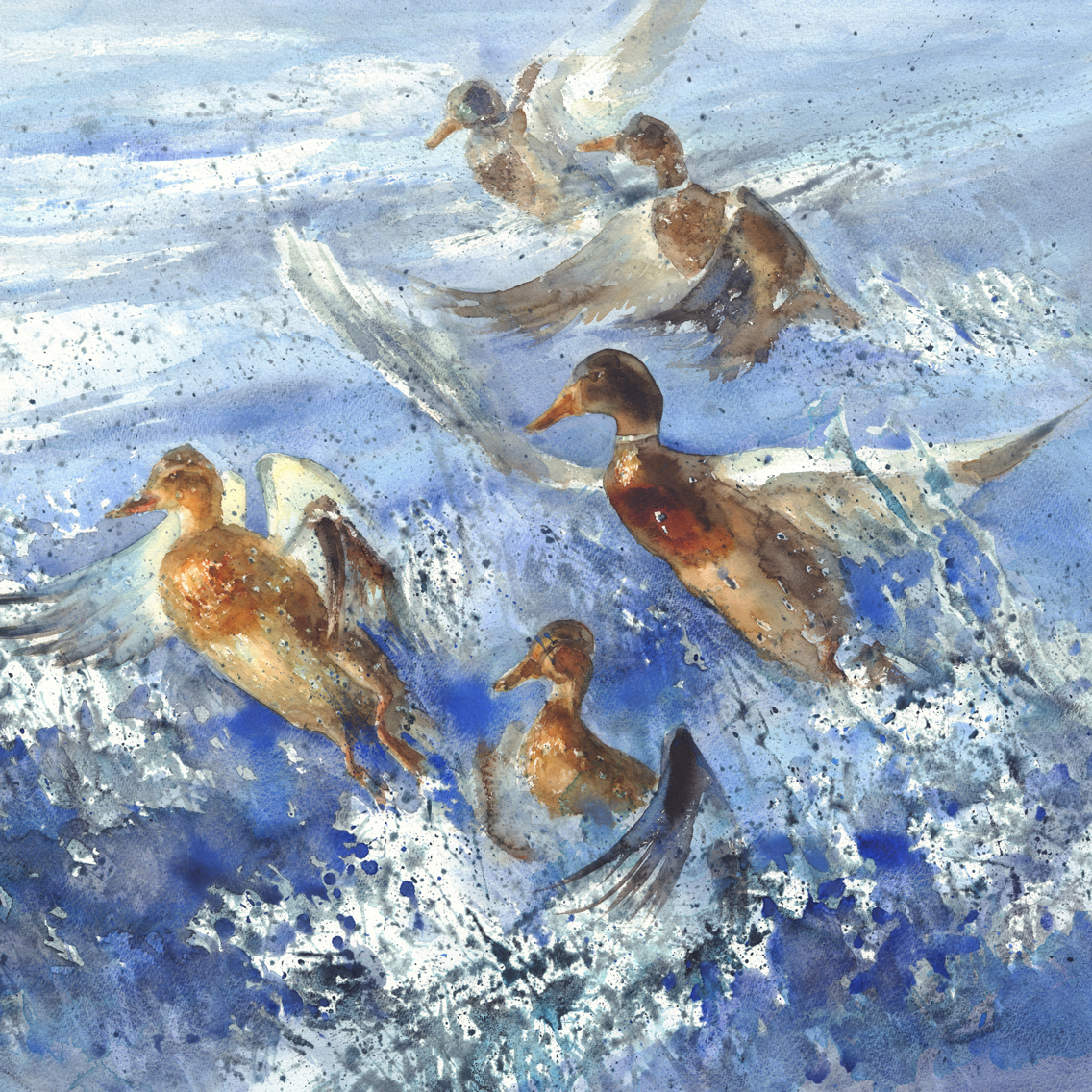 Watercolour painting of migrating ducks